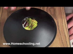 3-D Mirascope--Make Your Own Holograms!