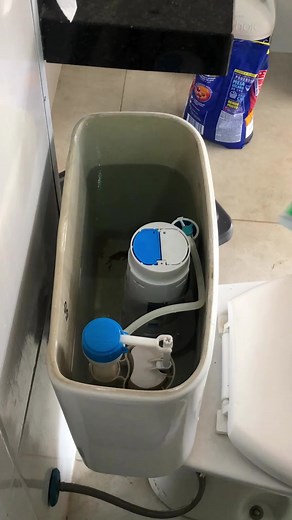 I put toothpaste in the toilet tank and was shocked by the result!