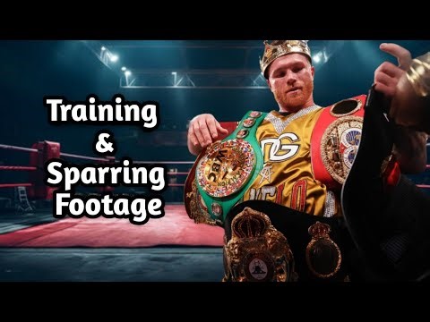 Saul Canelo Alvarez Training & Sparring Footage against Terrence Crawford