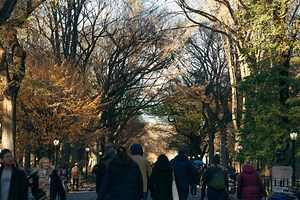 Why November Is a Great Time to Visit New York City