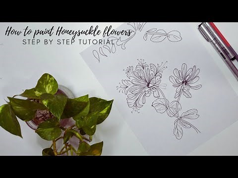 How to draw june birth flowers| Honeysuckle drawing. Step by step tutorial.