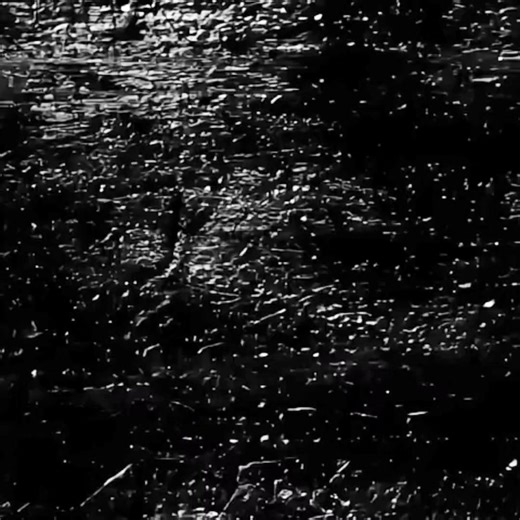 Understanding Cockroaches: Myths and Facts