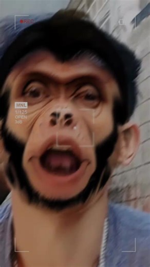 Cute Monkey Video Compilation: Adorable Clips to Enjoy