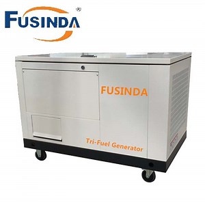 [Hot Item] 30kw/35kw Ng/LPG/Gasoline Petrol Standby Canopy Generator