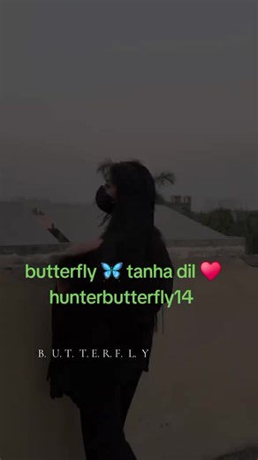 Sport Butterfly Hunting Techniques and Tips