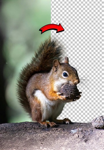 Mastering Photoshop 2026: Refine Feathers and Backgrounds