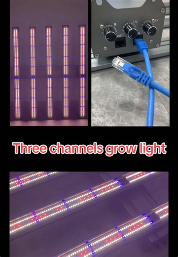 Hydroponic Three Channels Grow Light for Custom Solutions