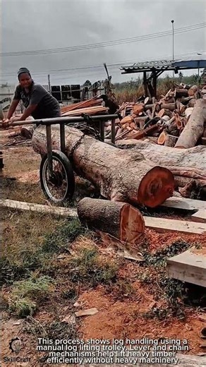 Log Handling Process Work Tool Using Manual Log Lifting Trolley #worktool