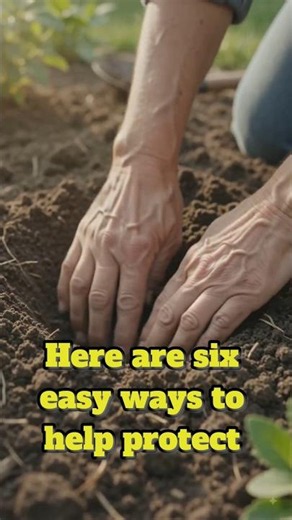 6 Easy Ways to Help Protect Biodiversity
