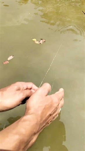 Amazing hook fishing techniques part-1241 #fish #foryouシ #fishing #video