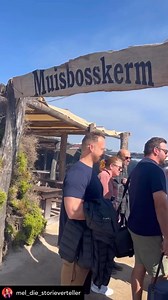 Baie dankie @mel_die_storieverteller ❤️ @mel_die_storieverteller Hoeveel sal jy betaal vir ‘n alles-wat-jy-sien-kan-jy-eet buffet? Muisbosskerm is weer up and running en ons kon aan geen ander manier dink om ons verlowing te vier as om onsself trommeldik te eet saam lekker mense nie. 🌊🐋🦞🦀✨ | Muisbosskerm