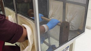 Two insect repellents ranked 'top performers' by testers at Consumer Reports