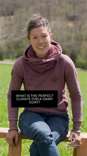 YOU can raise dairy goats no matter what climate you live in! Watch this short video with Anne Briggs to learn how! In Anne Briggs Keeping Milk Goats class, learn how to purchase, care for and milk healthy and happy dairy goats! You can learn more about her class here: https://schooloftraditionalskills.com/classes/keeping-milk-goats/ #traditionalskills #dairygoats #freshmilk #goatmilk | School of Traditional Skills