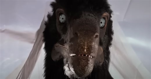 Video Inserts Scientifically Accurate Velociraptors Into “Jurassic Park,” And The Result Is More Terrifying Than Fiction