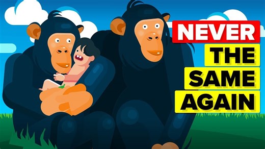 These were the most important events in the history of the Earth