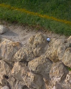 861K views · 2.7K reactions | The Bear Trap strikes!  Taylor Montgomery stood on the tee box at No. 15 with a one shot lead at the Cognizant Classic in The Palm Beaches. He left the hole three back.  NBC | PGA TOUR | Facebook