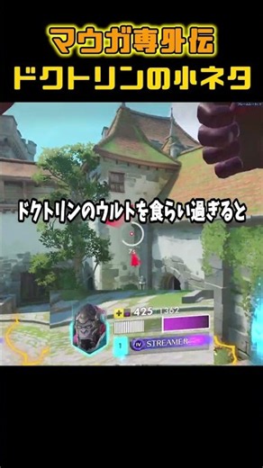 ドクトリンの小ネタ紹介【マウガ専】【オーバーウォッチ】
