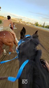 463K views · 10K reactions | Reigning Calgary Stampede Champions In It 2 Win It have been battling it out with Poitras Relay on the track these past few nights. Kaleal Jackson of In It 2 Win It took us along for the ride - watch as he comes into his first switch, where every second counts, and battles it out on with Joe Jackson of Poitras Relay! #CalgaryStampede #Stampede2025 #RelayRacing In It 2 Win It | Calgary Stampede Chuckwagons & Relay | Facebook