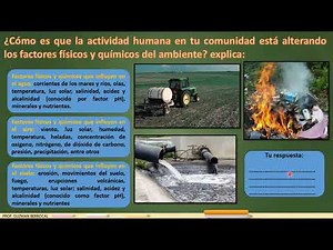 QUINTO GRADO - EXPLICAMOS LOS FACTORES QUE GENERAN PROBLEMAS AMBIENTALES EN NUESTRA COMUNIDAD