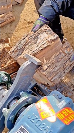 Transforming Large Wooden Logs into Ready to Use Firewood with an Industrial Log Splitter #shorts
