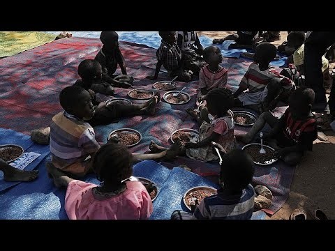 Nearly 80 million more children benefit from school meals, WFP says