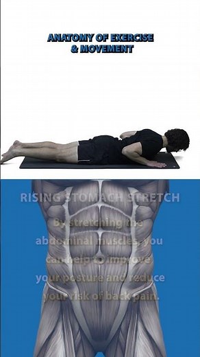 Rising Stomach Stretch