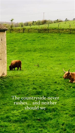 The countryside never rushes… and neither should we.” 🐄💚A quiet moment in Blockley, where the fields are green, the air is still, and life moves at a gentler pace. 🌾Sometimes the best thing you can do is slow down, breathe, and enjoy the simple beauty of the Cotswolds countryside.📍 Filmed in Blockley, Gloucestershire#VisitCotswold #Cotswolds #Blockley #CotswoldLife #CotswoldVillages #CotswoldCountryside #CotswoldWalks #ExploreCotswolds #CountrysideCalm #CotswoldHills #DiscoverCotswolds #Peac