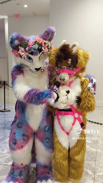 First Furry Interview at FWA with Scribbled Mutt