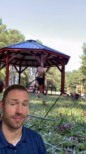 Core stability ab workout #stitch @Thepuppyguy #gym #puppy #dog