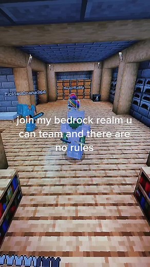 mokescraft on TikTok