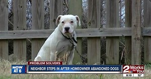PROBLEM SOLVERS: Dogs abandoned for months