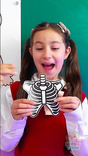 Kids, Do You Know the BONES in Your Body? 🦴