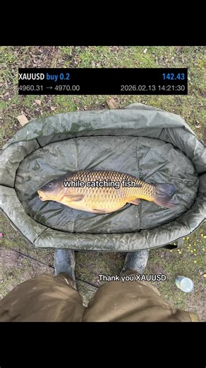 Make Money While You Sleep: Insights from Warren Buffett