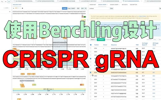 【CRISPR gRNA】一个案例教会你CRISPR gRNA设计，助力每一个基因编辑人