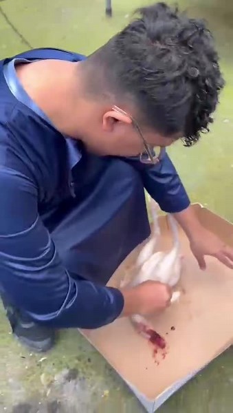 Chicken plucking machine #rehmanchicken #chicken