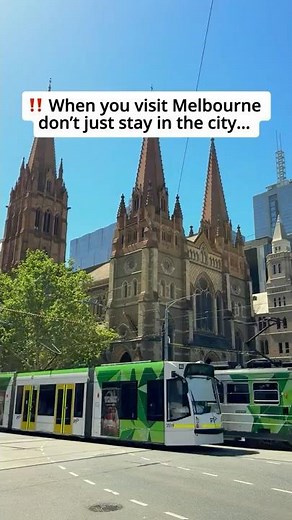 Melbourne Day Trips & Hidden Victoria Adventures 🇦🇺✨ Must-Do Experiences Melbourne