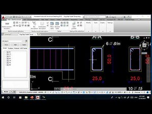 المحاضرة 3-4 ( BIM ( Course in AutoCAD Structural Detailing 2015