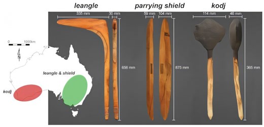 Biomechanics Study of Indigenous Weapons Reveals Their Deadliness