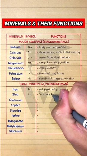 Different Types of Minerals & Their Functions