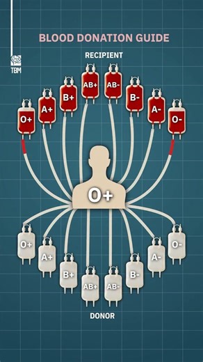 blood donation guide 🙌 | I'm Your 3D Doctor