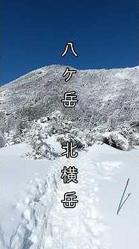 【絶景】これぞ八ヶ岳ブルー！北横岳の霧氷が美し過ぎます。標高2,480mの別世界へ。北横岳スノートレッキングの癒やし。ロープウェイで行ける雪山。 #雪景色
