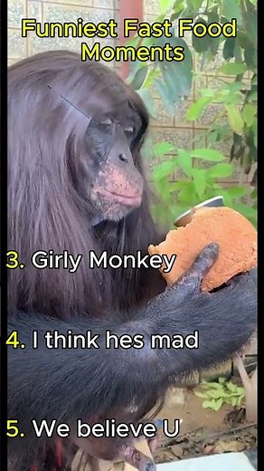 Top 5 Funniest Fast Food Moments 🍔😂 #shorts #funny