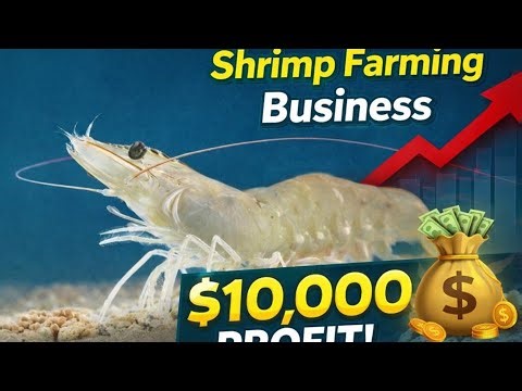 How to start Shrimp Farming | Shrimp Farming Business 2026 | Complete Guide + Profit Calculation.