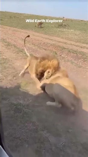 Who is The King ? #youtubeshorts