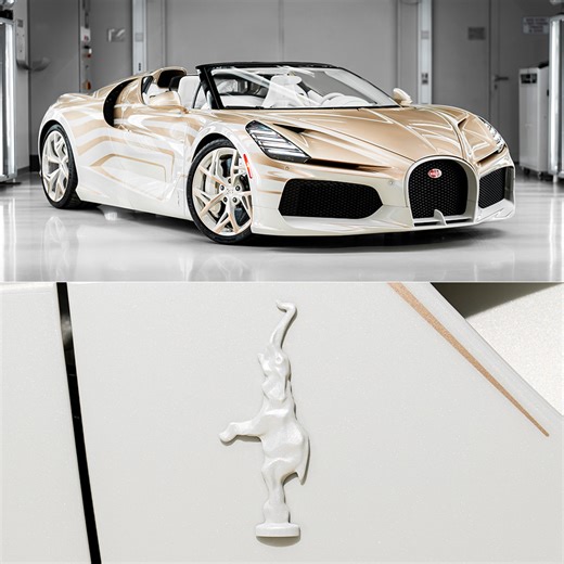 This is the World's First and Only Bugatti W16 Mistral La Perle Rare