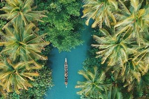 International Day of the Tropics