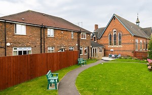 Cygnet St William's - Cygnet