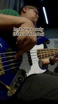Isn't She Lovely - Stevie Wonder (Bass Cover)