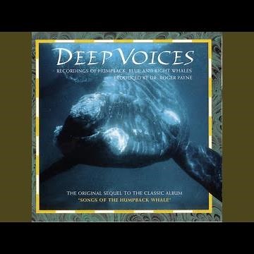 Blue Whales In Range