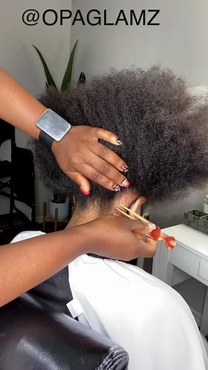 Mini Locs and Micro Twists Journey